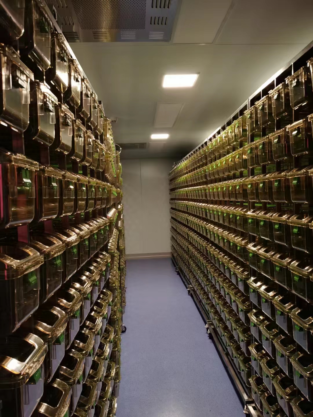 ÓÎͧ»áyth¡¤(Öйú)×îйٷ½ÍøÕ¾