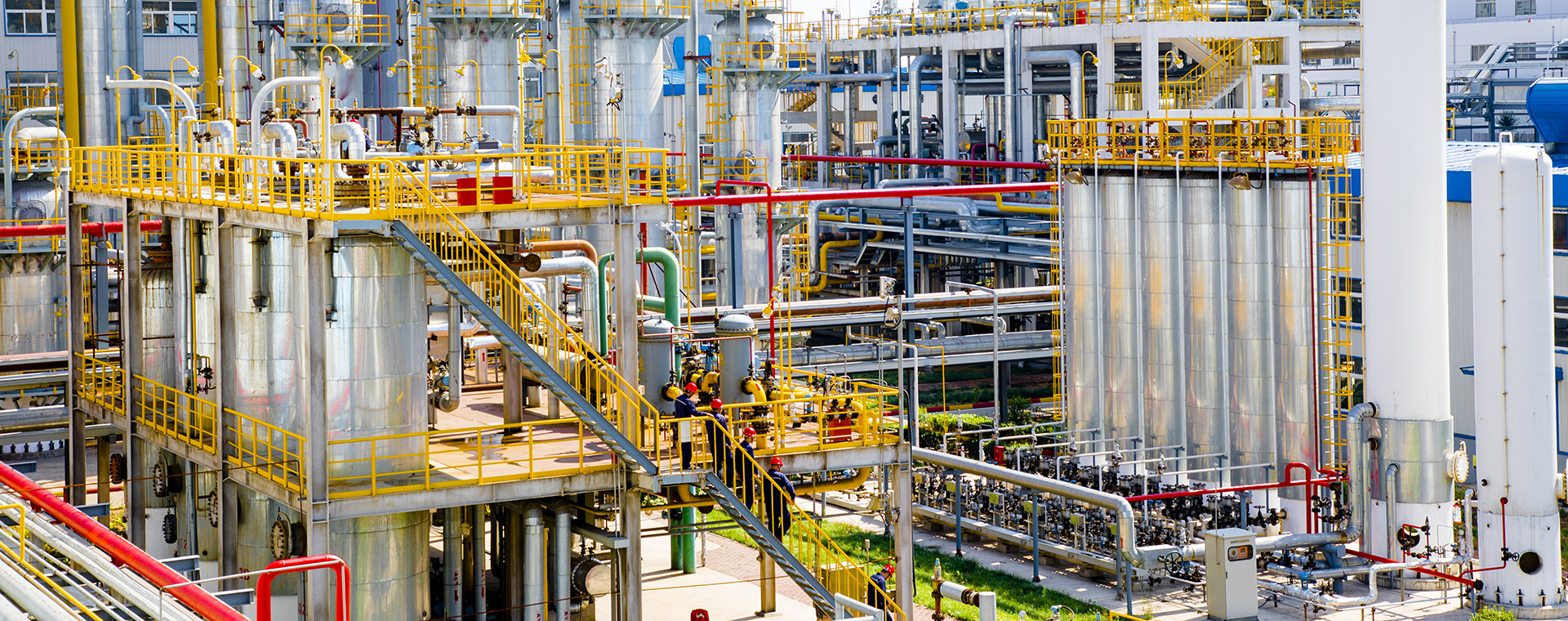 俏丽Z6人生就是博