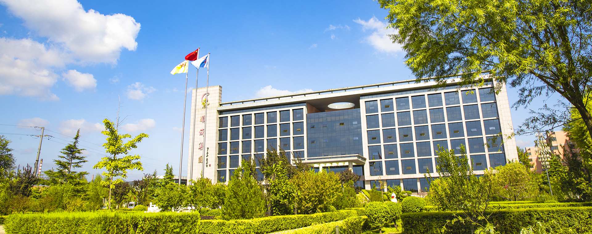 俏丽Z6人生就是博