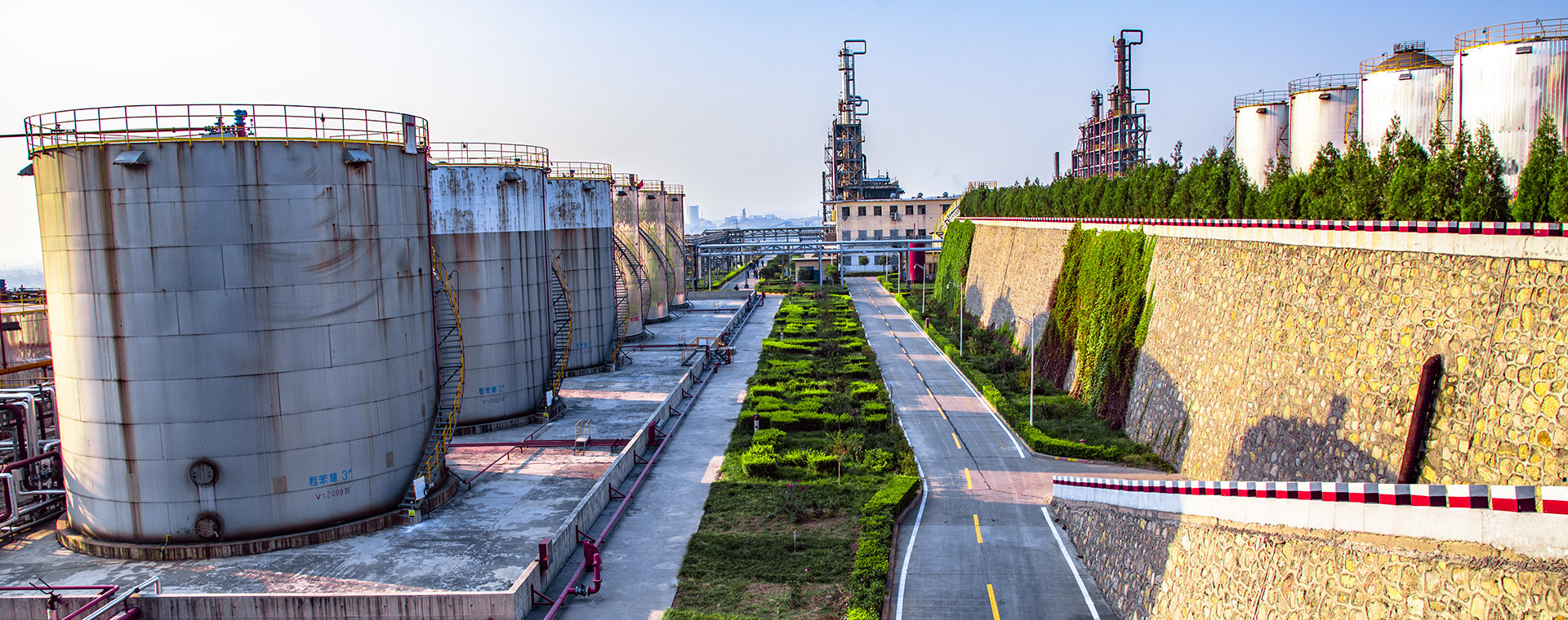 俏丽Z6人生就是博